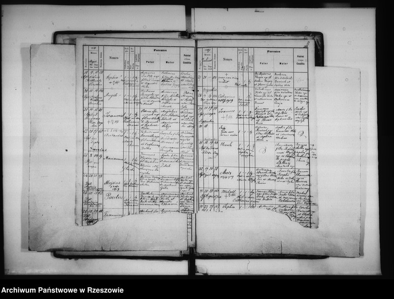 Obraz 10 z jednostki "Księga urodzeń - Łowisko"