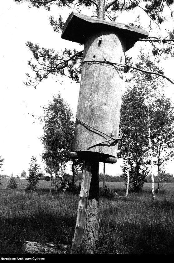 image.from.collection.number "Bartnictwo że Ho! Ho!111"