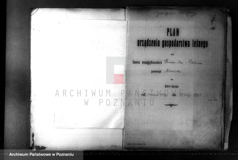 Obraz 15 z jednostki "Plan urządzania gospodarstwa leśnego dla lasu majętności Borówkowo-Stare i Piotrkowice powiat kościański"