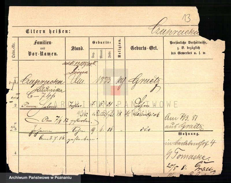 Obraz 15 z jednostki "Czapnik - Czarnecki"