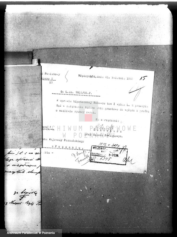 Obraz 19 z jednostki "Nadzór nad gospodarką w lasach majątku Bukowce powiat międzychodzki"