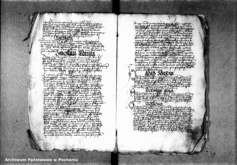 Obraz 8 z jednostki "Inscriptiones, relationes, decreta [inducta]"