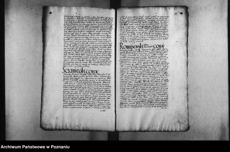 Obraz 16 z jednostki "Decreta [inducta]"