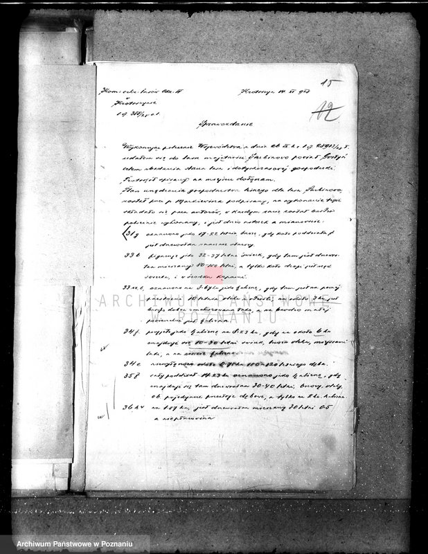 Obraz 18 z jednostki "Majętność leśna Sarbinowo w powiecie gostyńskim"