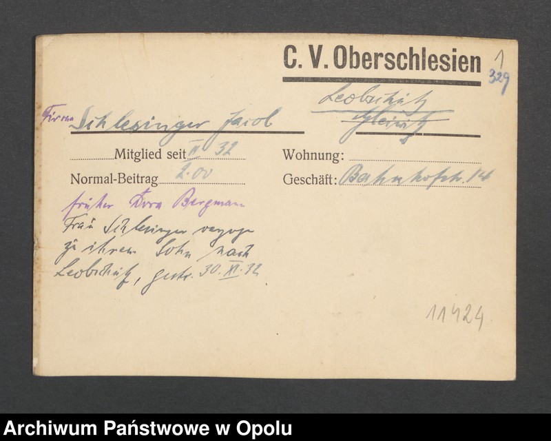 Obraz 3 z jednostki "[Schlesinger Jacob, Leobschütz]"