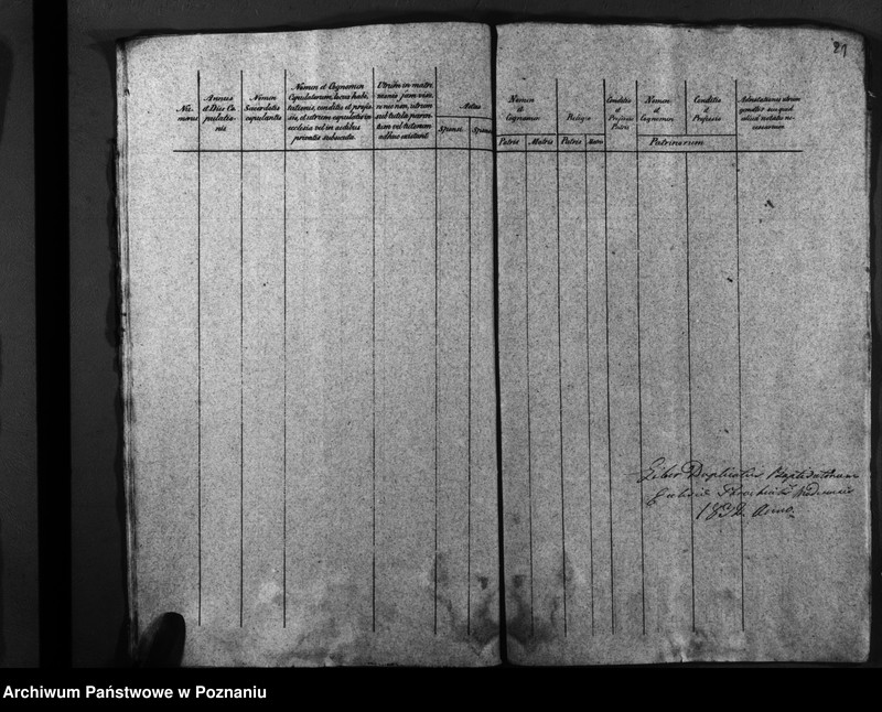 image.from.unit.number "Duplicatus baptisatorum, copulatorum, mortuorum"