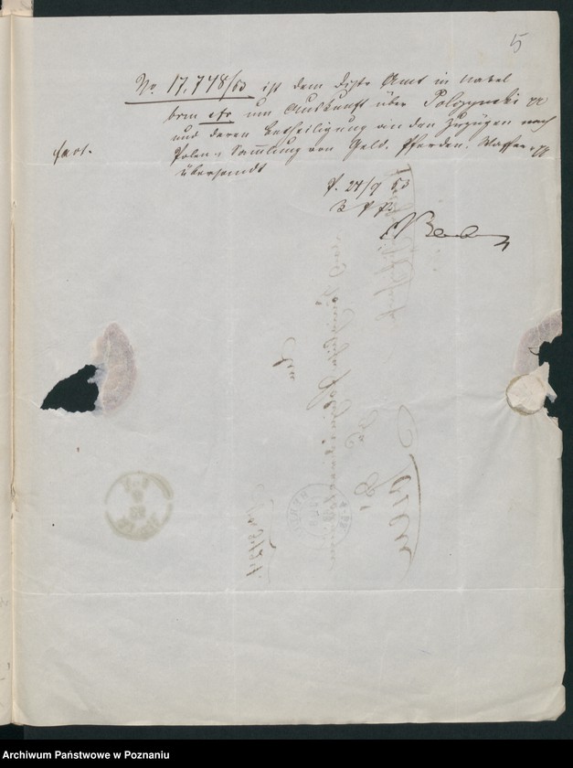 Obraz 8 z jednostki "A. betr. Valentin von Połczyński aus Ślesin auch Marzell Połczyński"