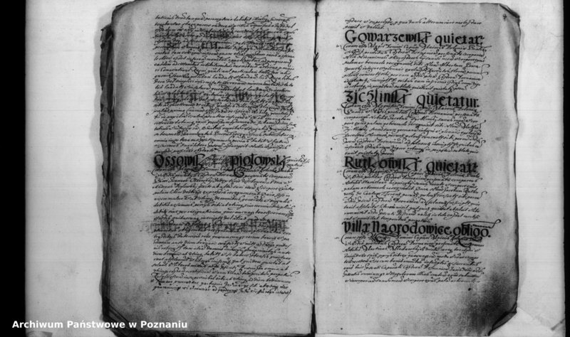 Obraz 12 z jednostki "Inscriptiones [inducta]"