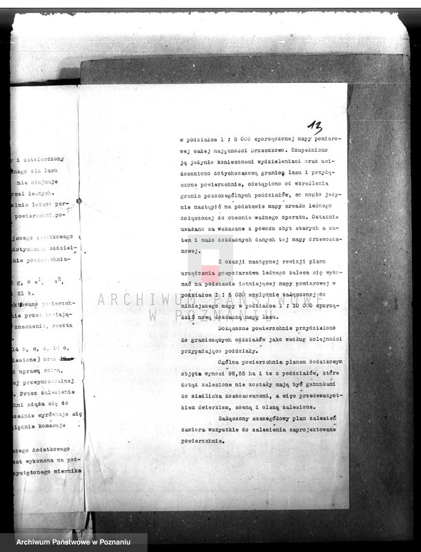 Obraz 17 z jednostki "Majętność leśna Drzeczkowo powiat leszczyński"