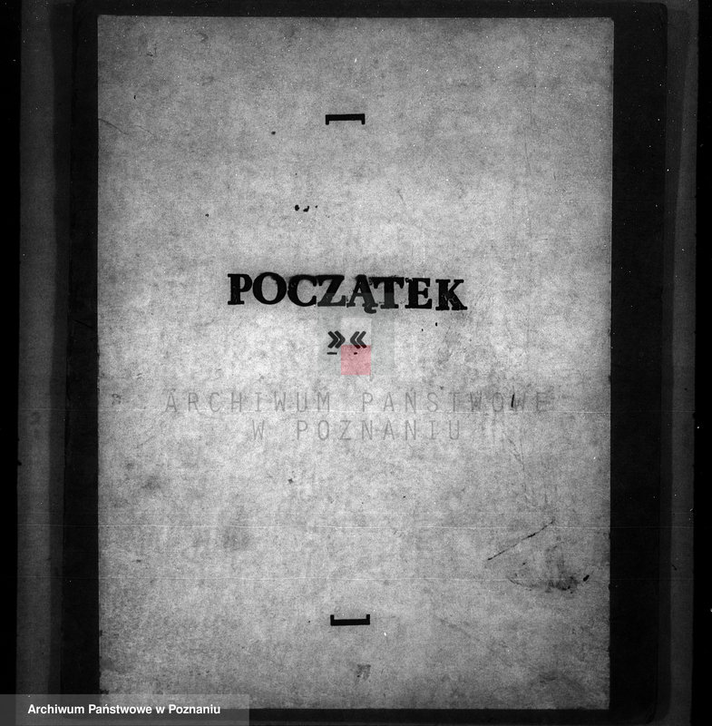 Obraz 3 z jednostki "Zalesienie nieużytków w powiecie nowotomyskim"