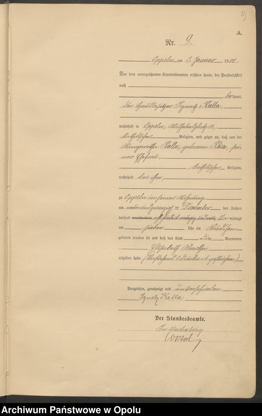 Obraz 13 z jednostki "Urząd Stanu Cywilnego w Opolu 1900 Rejestr Urodzeń Księga Miejscowa Nr 1 do 674"