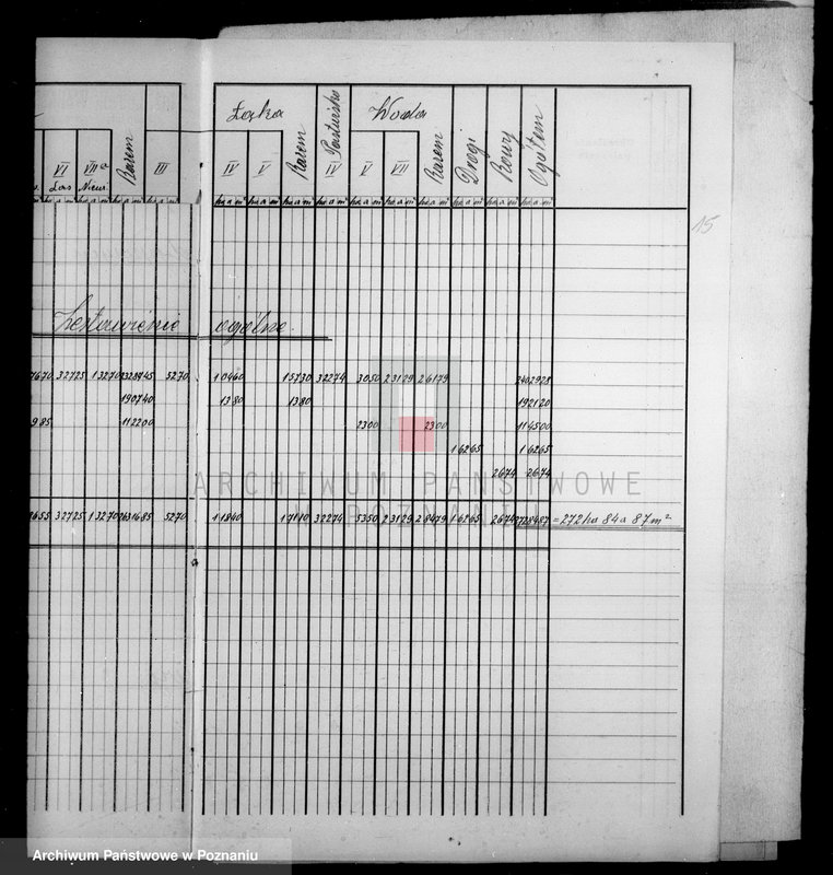 Obraz 19 z jednostki "Tymczasowy rejestr pomiarowy majątku Falmierowo powiatu wyrzyskiego"