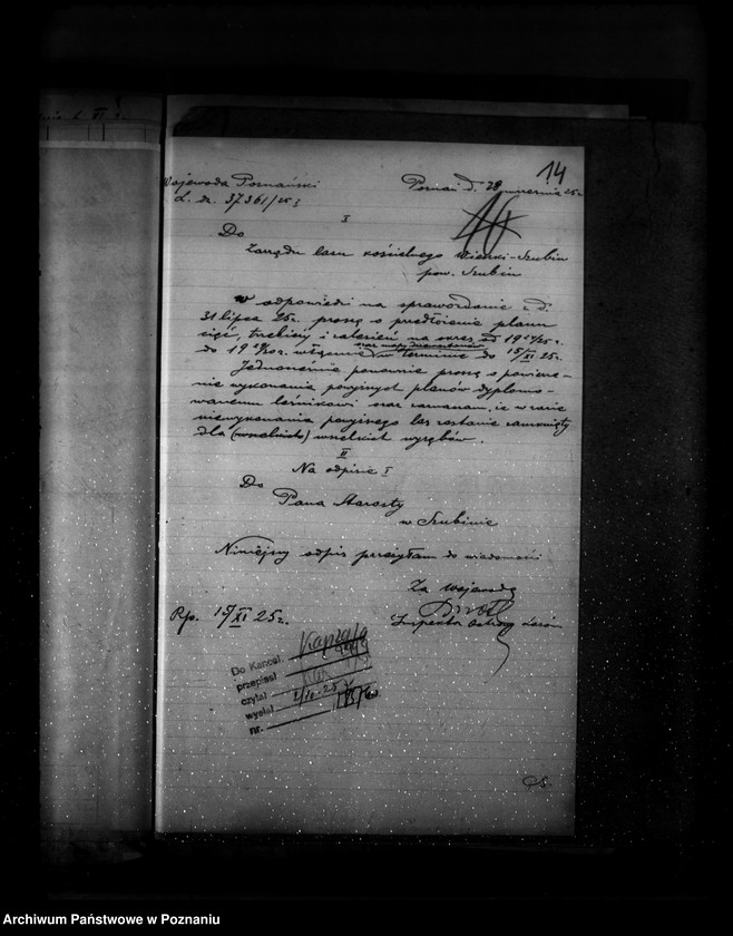 Obraz 18 z jednostki "Gospodarka leśna kościoła katolickiego Wieszki powiat szubiński"