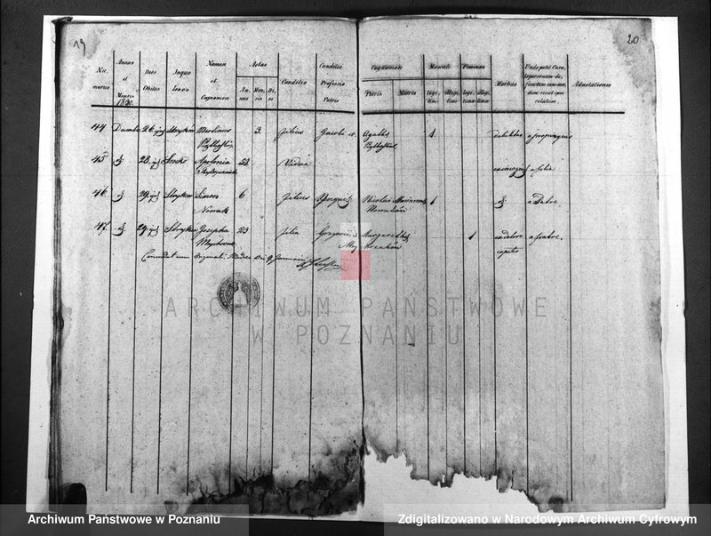 image.from.unit.number "Duplicatus baptisatorum, copulatorum, mortuorum"