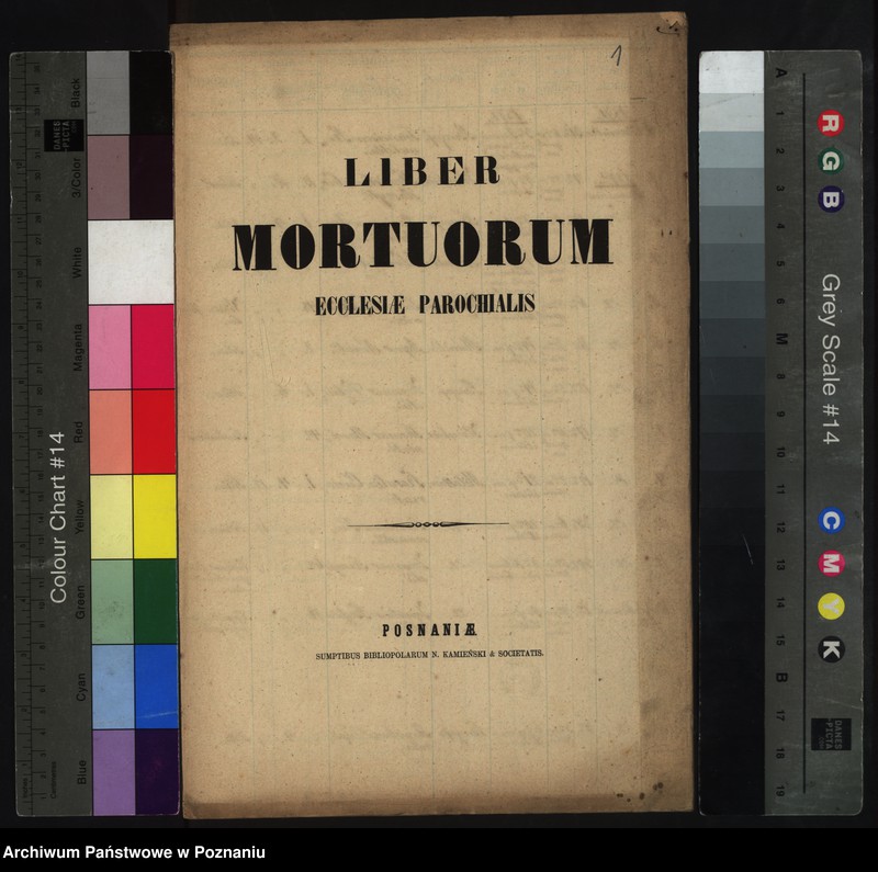 Obraz 3 z jednostki "Liber Mortuorum"