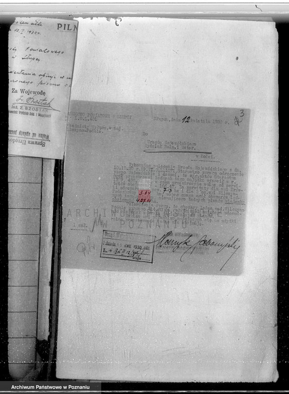 Obraz 8 z jednostki "Ustalenie powierzchni leśnej majątku Wilczyno-Podole powiat słupecki oraz nieprawne wyręby lasu"