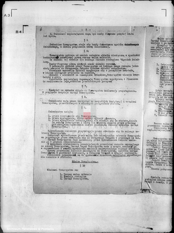 Obraz 11 z jednostki "Towarzystwo Ogródków Działkowych przy Parku 3 Maja w Ostrowie Wielkopolskim"