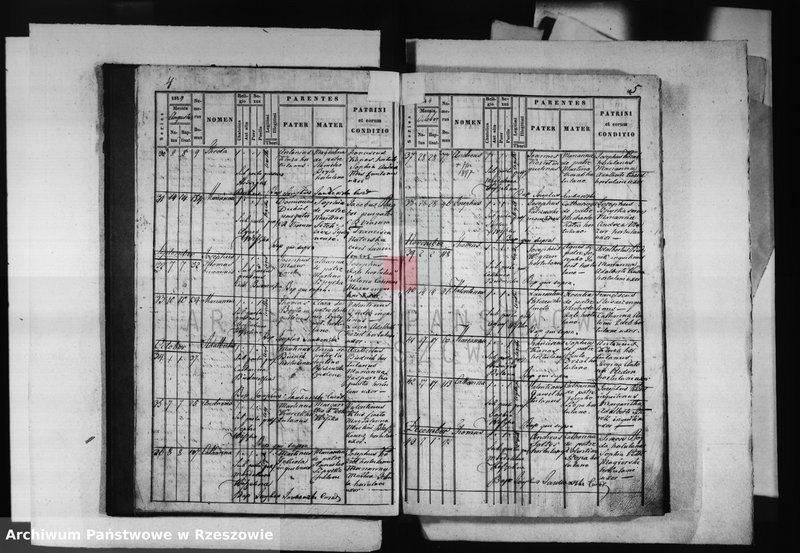 image.from.unit.number "Księga małżeństw , urodzeń i zgonów - Krasne - urodzenia - 1844 - 1857, małżeństwa - 1846 - 1872, zgony 1847 - 1863"
