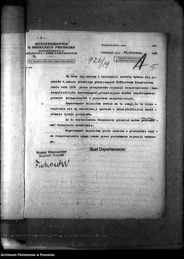 Obraz 8 z jednostki "Sprawy ogólne Wykazy chorób zaraźliwych,- księgosusz -"