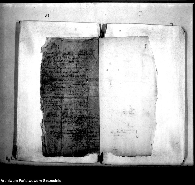 image.from.unit.number "Die Brawerzunft zu Treptow wegen des Baruens und Mühlens auf dem Lande"