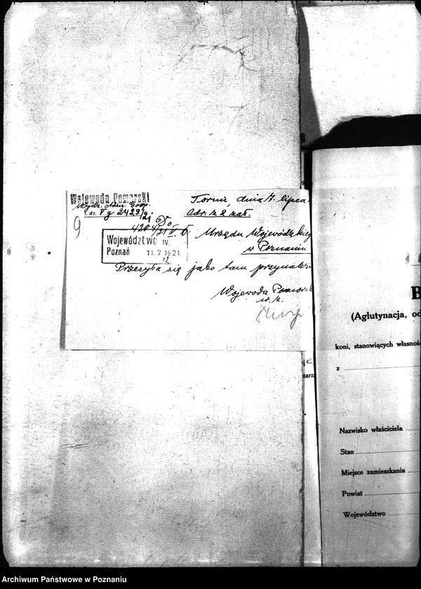 Obraz 12 z jednostki "Nosacizna - Wągrowiec"