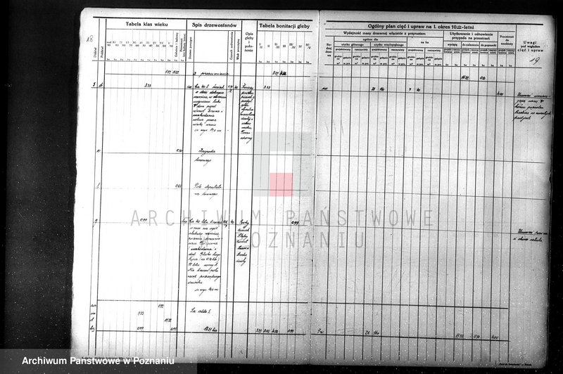 Obraz 20 z jednostki "Nadzór nad gospodarką leśną majątku Sławno powiat czarnkowskim"