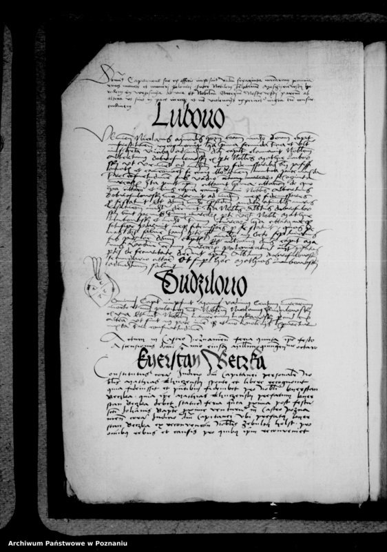 Obraz 14 z jednostki "Inscriptiones, relationes, decreta [inducta]"