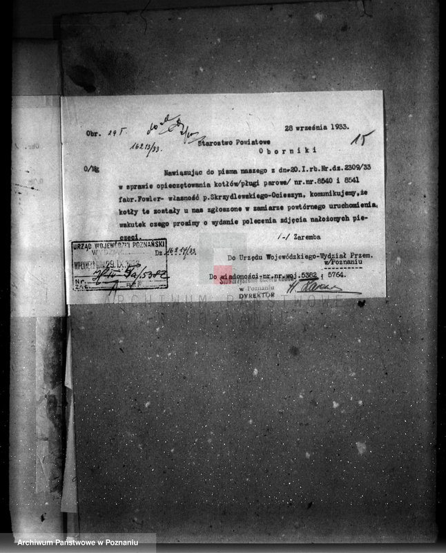 Obraz 19 z jednostki "Majętność Ocieszyn, własność Skrzydlewski nr woj. kotła 5382"