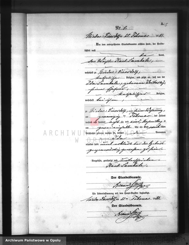 Obraz 8 z jednostki "Geburts-Neben-Register Standesamts Hohen-Giersdorf pro 1881"