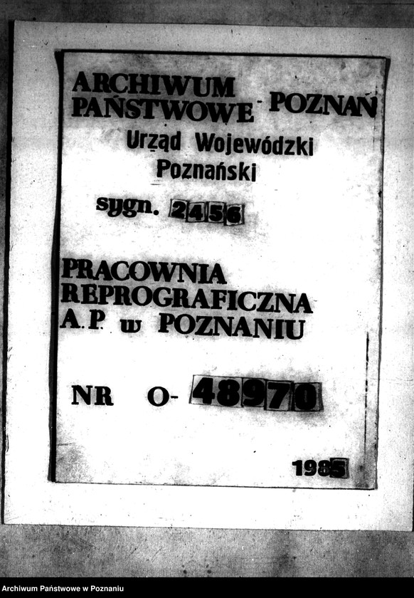 Obraz 1 z jednostki "Podział wspólnego pastwiska wsi Oleśnica powiatu konińskiego"