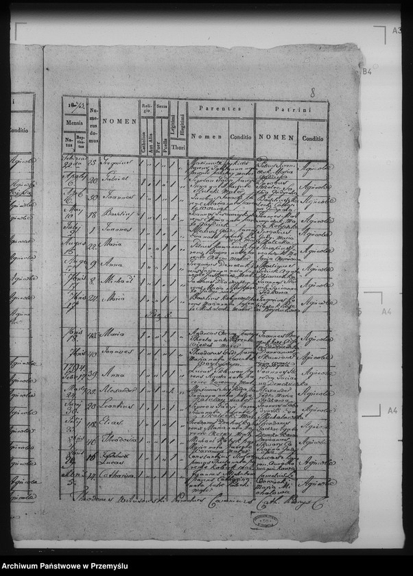 Obraz 12 z jednostki "[Kopie ksiąg metrykalnych parafii Bełz z filiami Prusinów, Tuszków, Witków (dekanat Bełz)]"