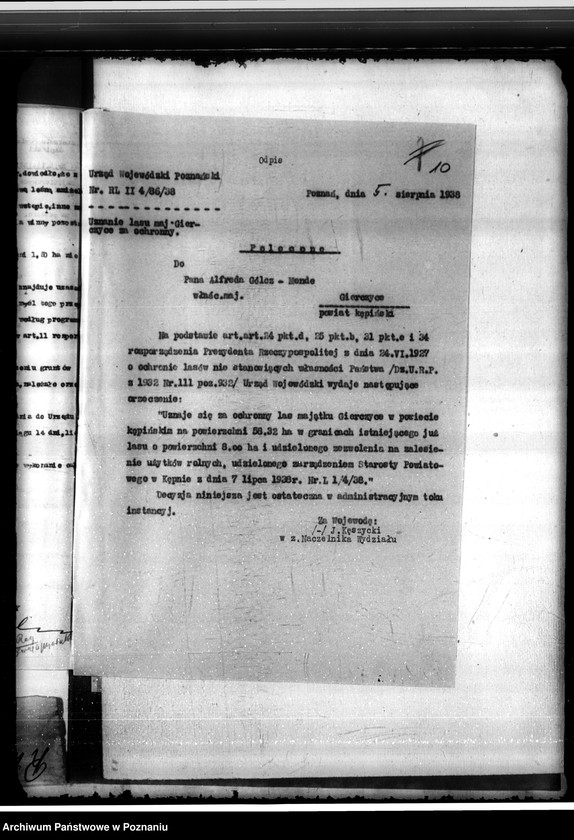 Obraz 14 z jednostki "Las majętności Gierczyce powiatu kępińskiego"