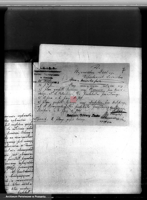 Obraz 11 z jednostki "Sprawa zmiany rodzaju użytkowania w związku z parcelacją powiat 19,5 ha gruntów leśnych w majątku Piorunów powiat koniński"