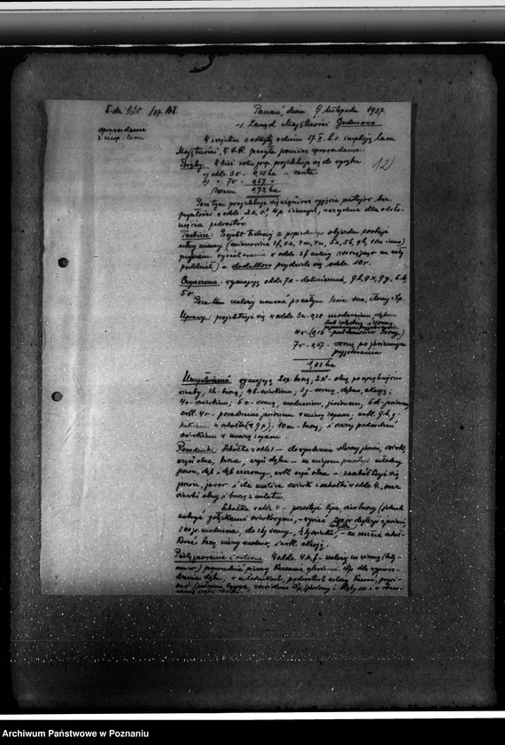 Obraz 16 z jednostki "Majętność leśna Godurowo w powiecie gostyńskim"