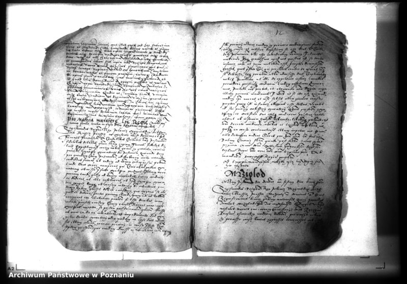 Obraz 12 z jednostki "Lib. civium, inscriptiones, relationes, decreta [inducta]"