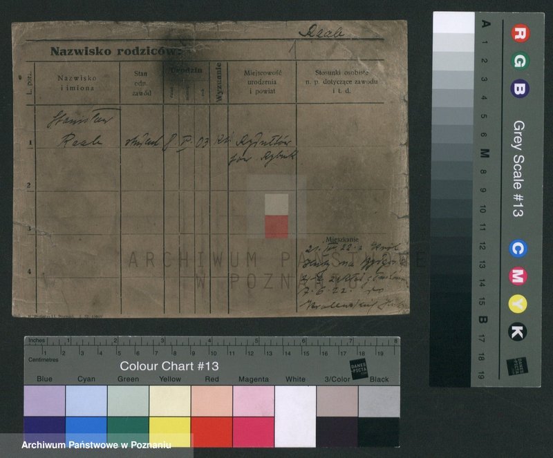 Obraz 3 z jednostki "Raab - Raczkiewicz"