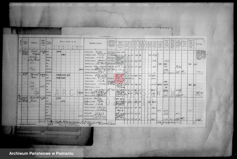 Obraz 13 z jednostki "Operat szacunkowy majątku Krostkowo powiatu wyrzyskiego"