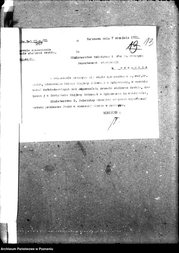 Obraz 18 z jednostki "Weterynaria"