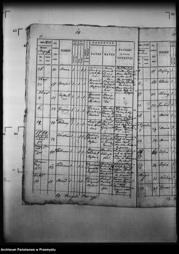 Obraz 19 z jednostki "[Kopie ksiąg metrykalnych parafii Wierzchomla Wielka z filiami Wierzchomla Mała, Zubrzyk (dekanat Muszyna)]"