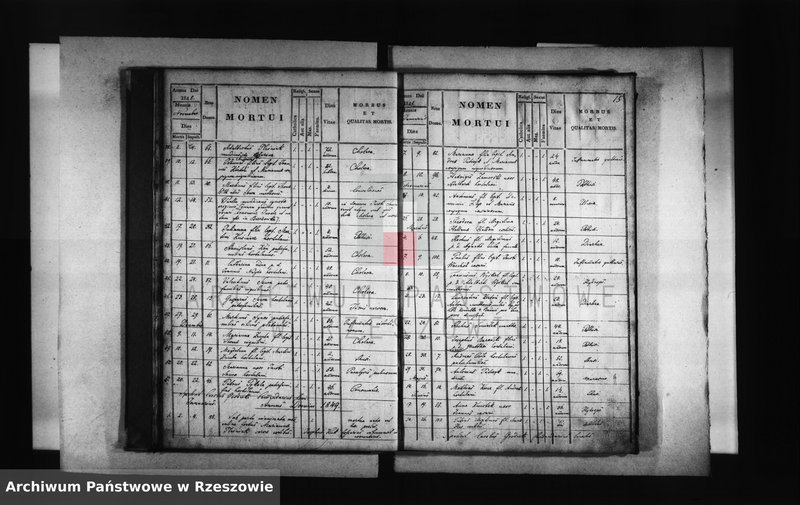 image.from.unit.number "Księga zgonów - Borek Stary"