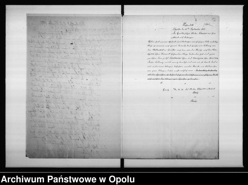 Obraz 13 z jednostki "Acta des Magistrats zu Oppeln betreffend den Weg zwischen dem Friedländer u[nd] Kandziora