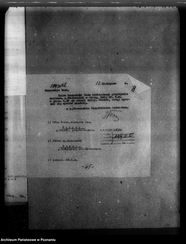 Obraz 12 z jednostki "/Majętność leśna Bugaj / powiat krotoszyński"