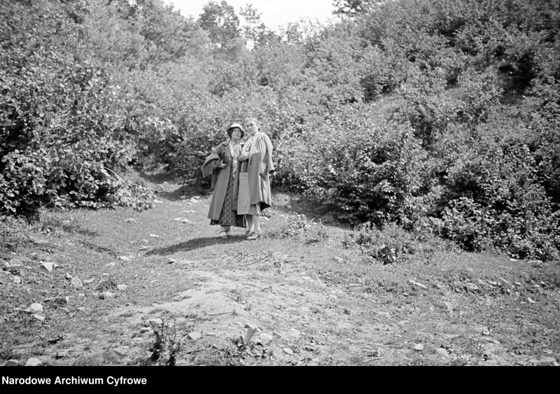 image.from.unit.number "Janowiec"