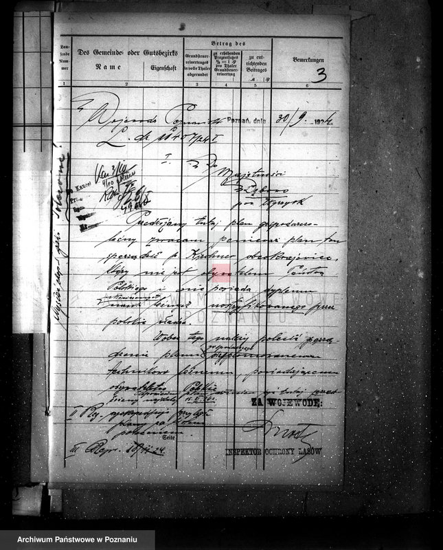 Obraz 7 z jednostki "Majętność leśna Dębowo powiat wyrzyski"