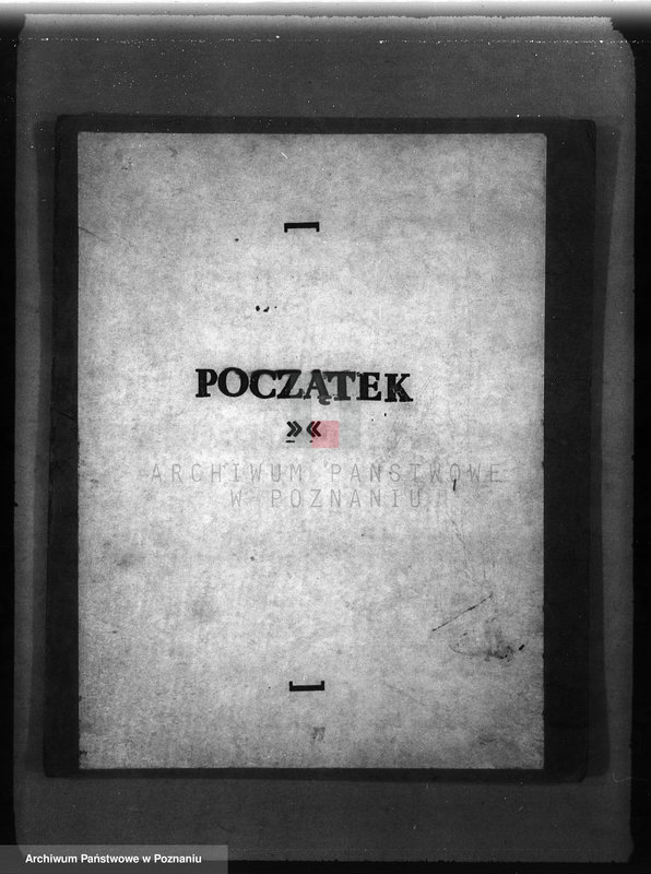 Obraz 3 z jednostki "Zalesienie nieużytków w powiecie mogileńskim"