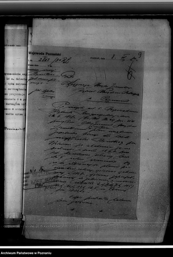 Obraz 13 z jednostki "Majętność leśna Bonikowo powiat kościański"