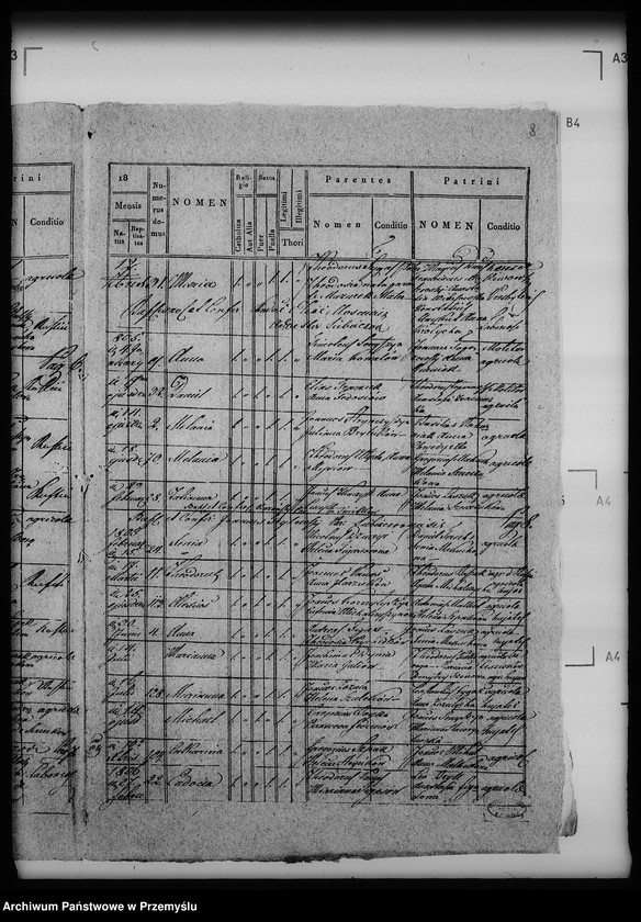 Obraz 12 z jednostki "[Kopie ksiąg metrykalnych parafii Siebieczów z filiami Leszczaków, Piwowszczyzna, Rusin, Wierzbiąż (dekanat Bełz)]"