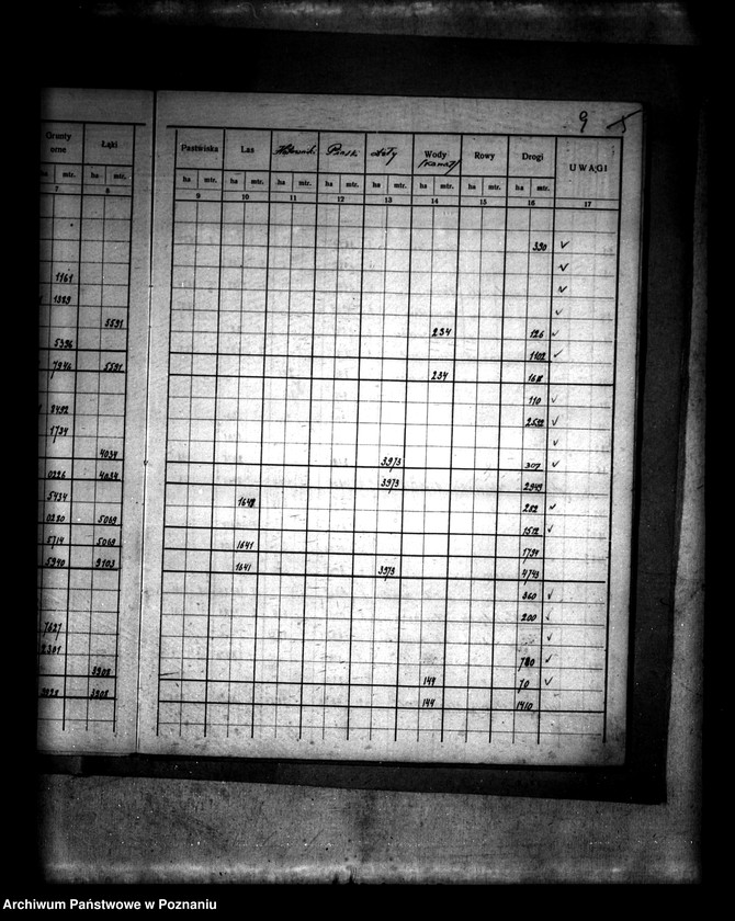 Obraz 13 z jednostki "/Rejestr pomiarowy wsi Morzysław powiatu konińskiego"