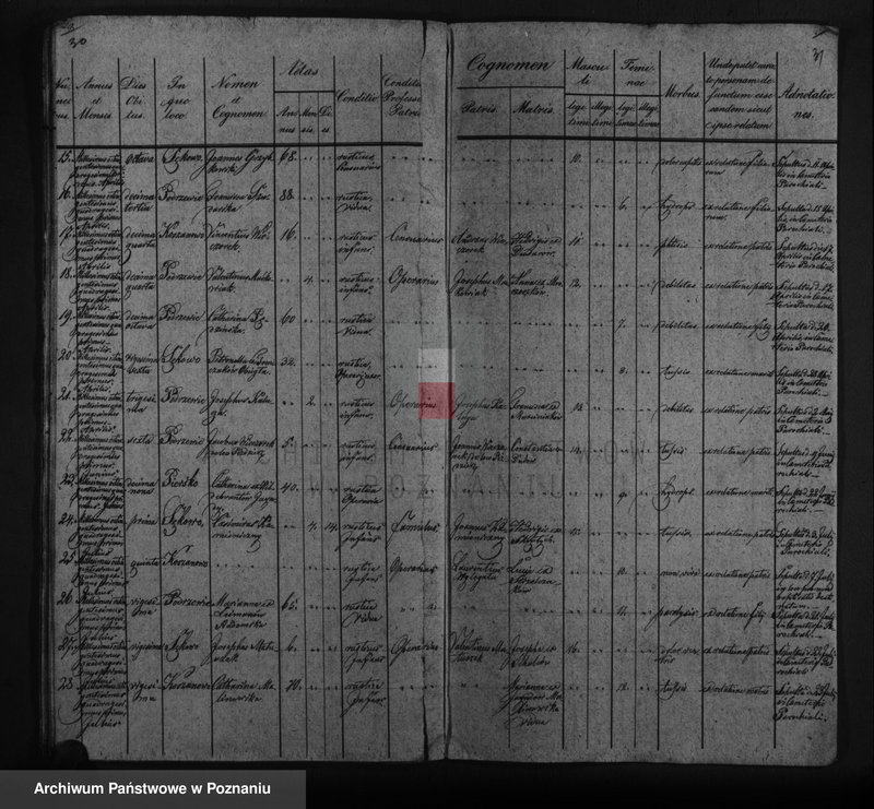 image.from.unit.number "Duplicat baptisatorum, copulatorum, mortuorum"