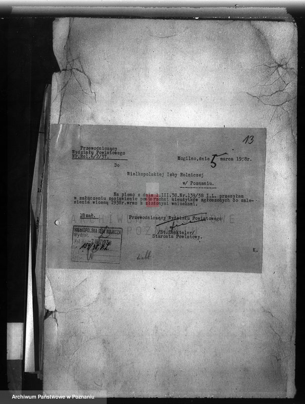 Obraz 17 z jednostki "Zalesienie nieużytków w powiecie mogileńskim"